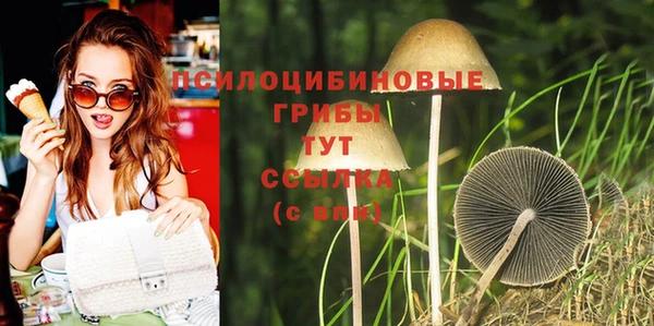 соль курить ск Аркадак